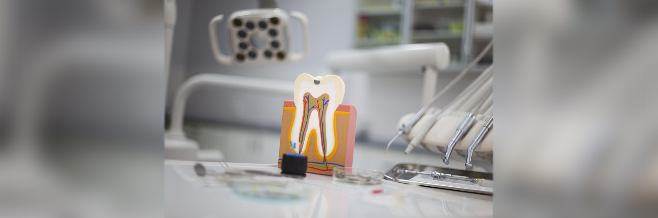 What to Expect From a Teeth Cleaning Session
